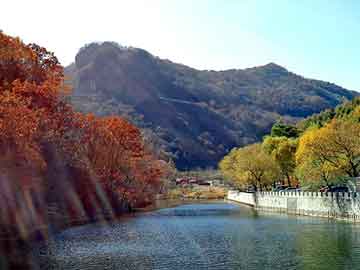 积极支持居民刚性和改善性住房需求，上海取消普通住房和非普通住房标准 