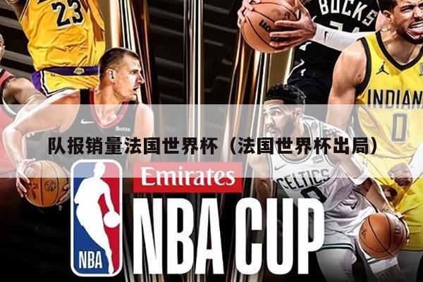 队报销量法国世界杯（法国世界杯出局）