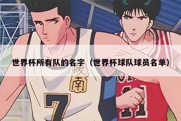 世界杯所有队的名字（世界杯球队球员名单）