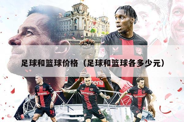 足球和篮球价格（足球和篮球各多少元）