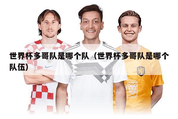世界杯多哥队是哪个队（世界杯多哥队是哪个队伍）