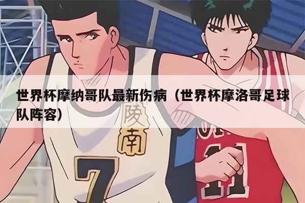 世界杯摩纳哥队最新伤病（世界杯摩洛哥足球队阵容）