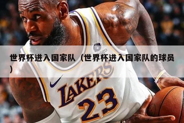 世界杯进入国家队（世界杯进入国家队的球员）