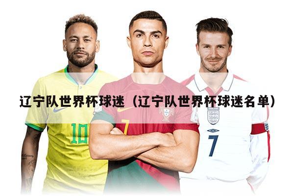 辽宁队世界杯球迷（辽宁队世界杯球迷名单）