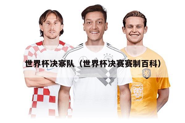世界杯决寨队（世界杯决赛赛制百科）