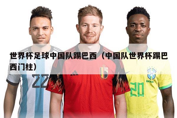 世界杯足球中国队踢巴西（中国队世界杯踢巴西门柱）