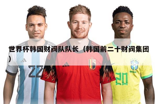 世界杯韩国财阀队队长（韩国前二十财阀集团）