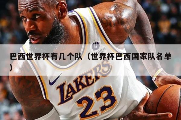 巴西世界杯有几个队（世界杯巴西国家队名单）