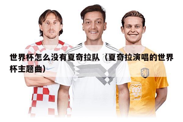 世界杯怎么没有夏奇拉队（夏奇拉演唱的世界杯主题曲）