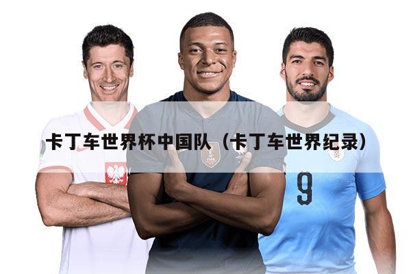 卡丁车世界杯中国队（卡丁车世界纪录）