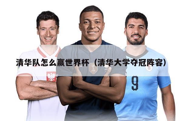 清华队怎么赢世界杯（清华大学夺冠阵容）