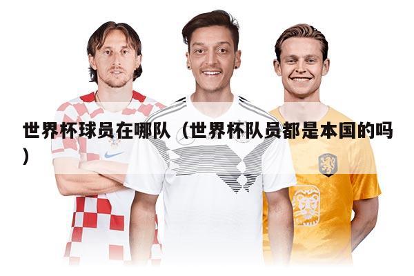 世界杯球员在哪队（世界杯队员都是本国的吗）