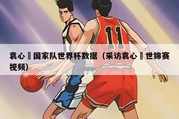 袁心玥国家队世界杯数据（采访袁心玥世锦赛视频）