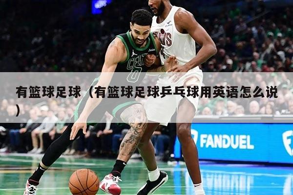 有篮球足球（有篮球足球乒乓球用英语怎么说）