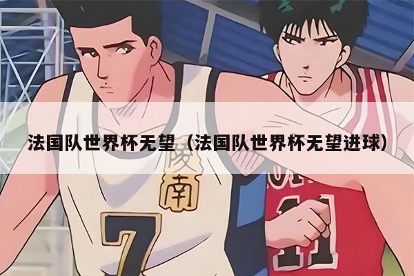 法国队世界杯无望（法国队世界杯无望进球）