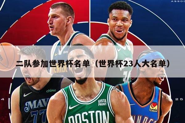 二队参加世界杯名单（世界杯23人大名单）