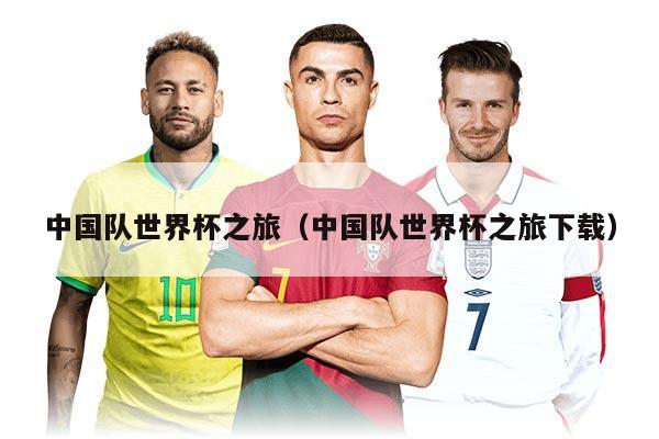 中国队世界杯之旅（中国队世界杯之旅下载）