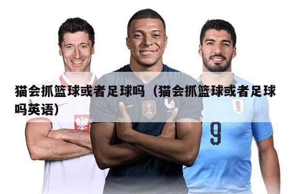 猫会抓篮球或者足球吗（猫会抓篮球或者足球吗英语）