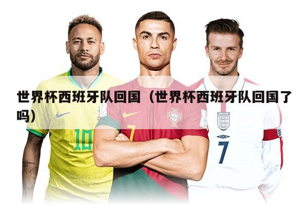 世界杯西班牙队回国（世界杯西班牙队回国了吗）