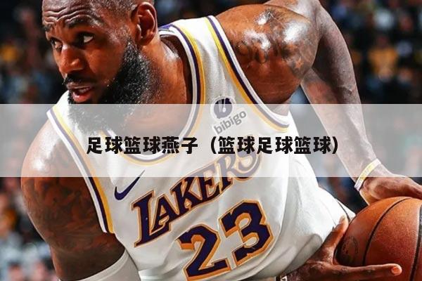 足球篮球燕子（篮球足球篮球）