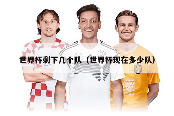 世界杯剩下几个队（世界杯现在多少队）