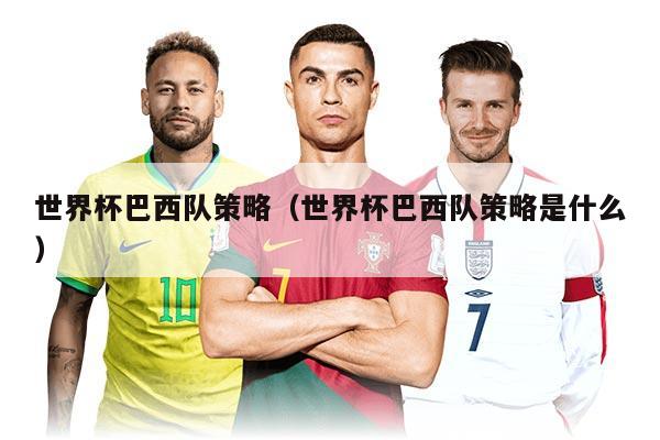 世界杯巴西队策略（世界杯巴西队策略是什么）