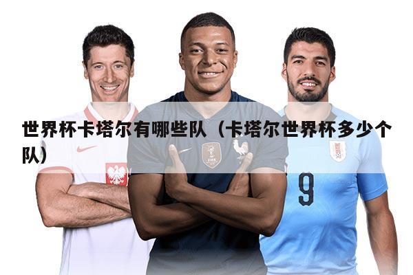 世界杯卡塔尔有哪些队（卡塔尔世界杯多少个队）