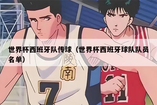 世界杯西班牙队传球（世界杯西班牙球队队员名单）