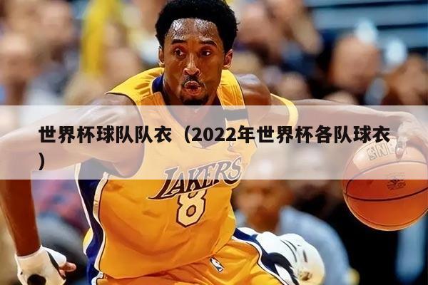世界杯球队队衣（2022年世界杯各队球衣）