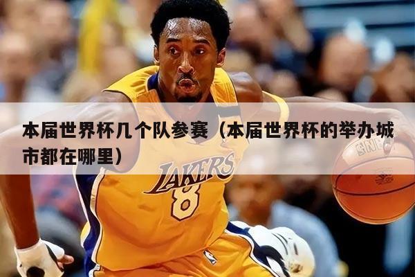 本届世界杯几个队参赛（本届世界杯的举办城市都在哪里）