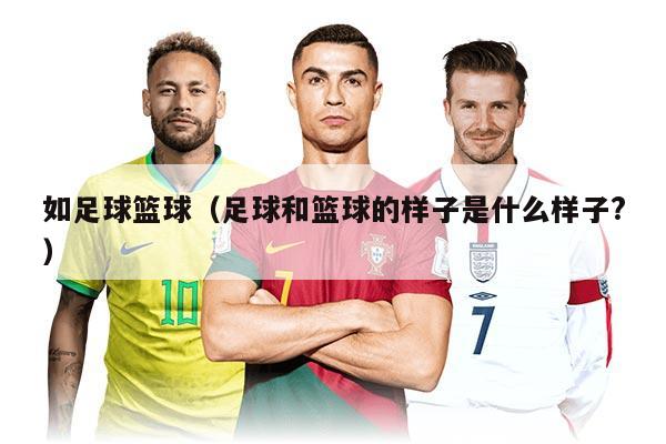 如足球篮球（足球和篮球的样子是什么样子?）