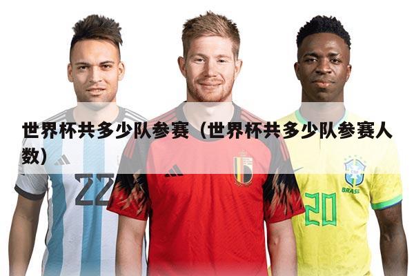 世界杯共多少队参赛（世界杯共多少队参赛人数）