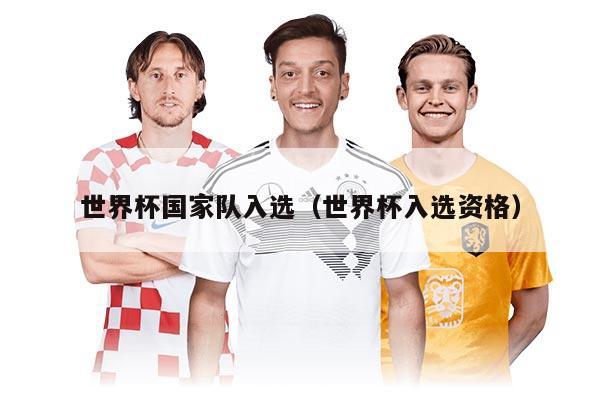 世界杯国家队入选（世界杯入选资格）