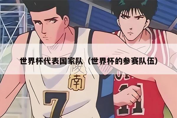 世界杯代表国家队(世界杯的参赛队伍)